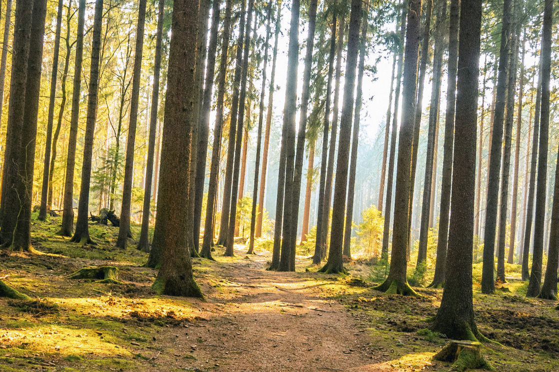 Maiwanderung 2019